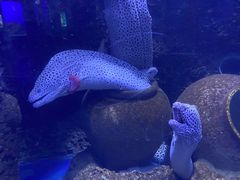 -石家庄海洋公园