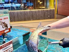-许爷家·生态湖鲜(徐汇日月光店)