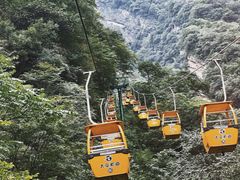 -朱雀国家森林公园
