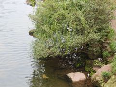 -重庆彩云湖湿地公园
