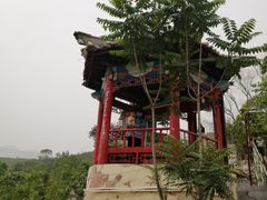 -双新垂钓园