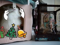 -佐罗家宠物馆·猫文化馆(紫霞路店)