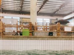 -南宫温泉水世界