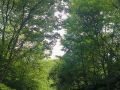 -幕燕滨江·燕子矶公园