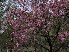 -贵阳市花溪国家城市湿地公园