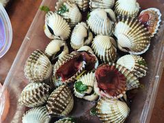 -长平老姿娘夜粥(平东一街店)