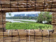-华侨城湿地公园