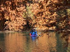 -上海海湾国家森林公园