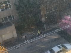 -沈阳市外国语学校