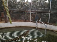 -呀路古热带植物园