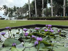 -三亚海棠湾万丽度假酒店