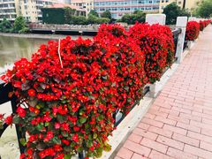 -和颐酒店(广州琶洲会展中心广州塔赤岗地铁站店)