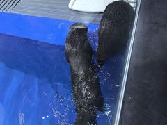 -太平洋海底世界