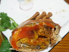 -呼吸森林·生态农庄农家乐私房菜