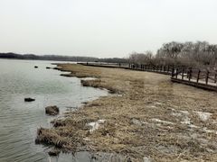 -西青郊野公园