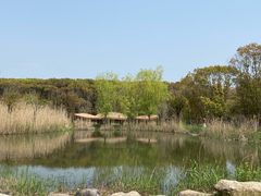 -同里国家湿地公园