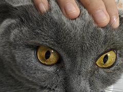 -上海市普陀区中心医院