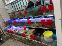 -金海湾海鲜排档(朱家尖店)