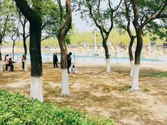 -青龙湖公园