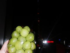 -上海凯宾斯基大酒店
