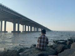 -宝安西湾红树林湿地公园