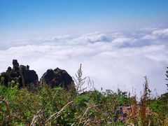 -白草畔自然风景区