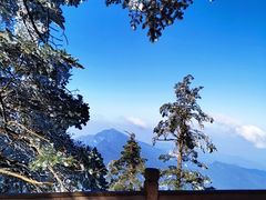 -瓦屋山景区