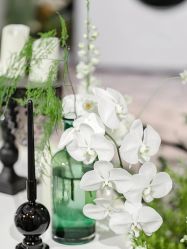 -红丝高端婚礼中心(旗舰店)