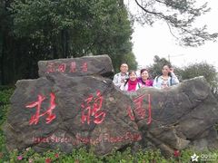 -铁山坪森林公园