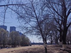 -长白岛森林公园