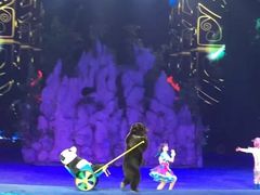 -广州长隆国际大马戏