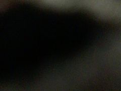 -上海柏悦酒店