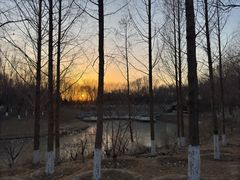 -大兴滨河森林公园