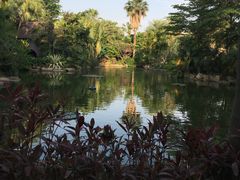 -厦门日月谷温泉渡假村