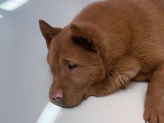 -鹏欣水游城