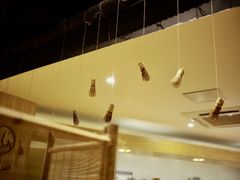 -柴务处·柴犬主题狗咖