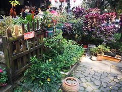 -国生茶庄·地道农家菜团建活动