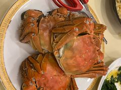 清蒸大闸蟹-王宝和酒家(黄浦店)