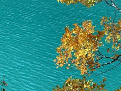 -叠溪松坪沟景区