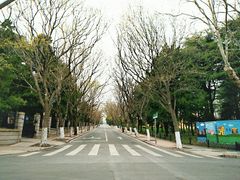 -八大关景区