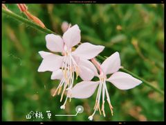 -成飞公园