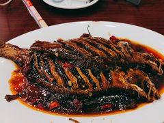 干烧鱼-林之六八·6886大连老菜馆