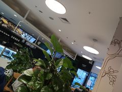 -织荆鸟咖啡(首开福茂店)