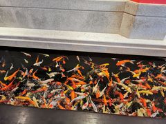 -龙悦湾酒家·八阵鱼生·渔人码头店