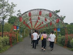 景点-嬉乐湾休闲旅游区