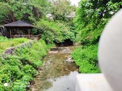 -尚贤河湿地