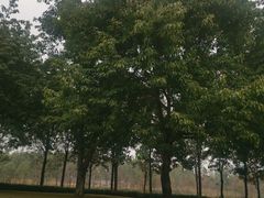 -眉山湿地公园(东坡区)