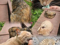 -终南山南五台景区