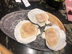 扇贝-王家渡火锅店(亦庄店)