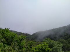 -燕窝岭
